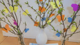 DSC01268.JPG